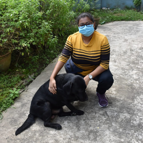 dog-training-b